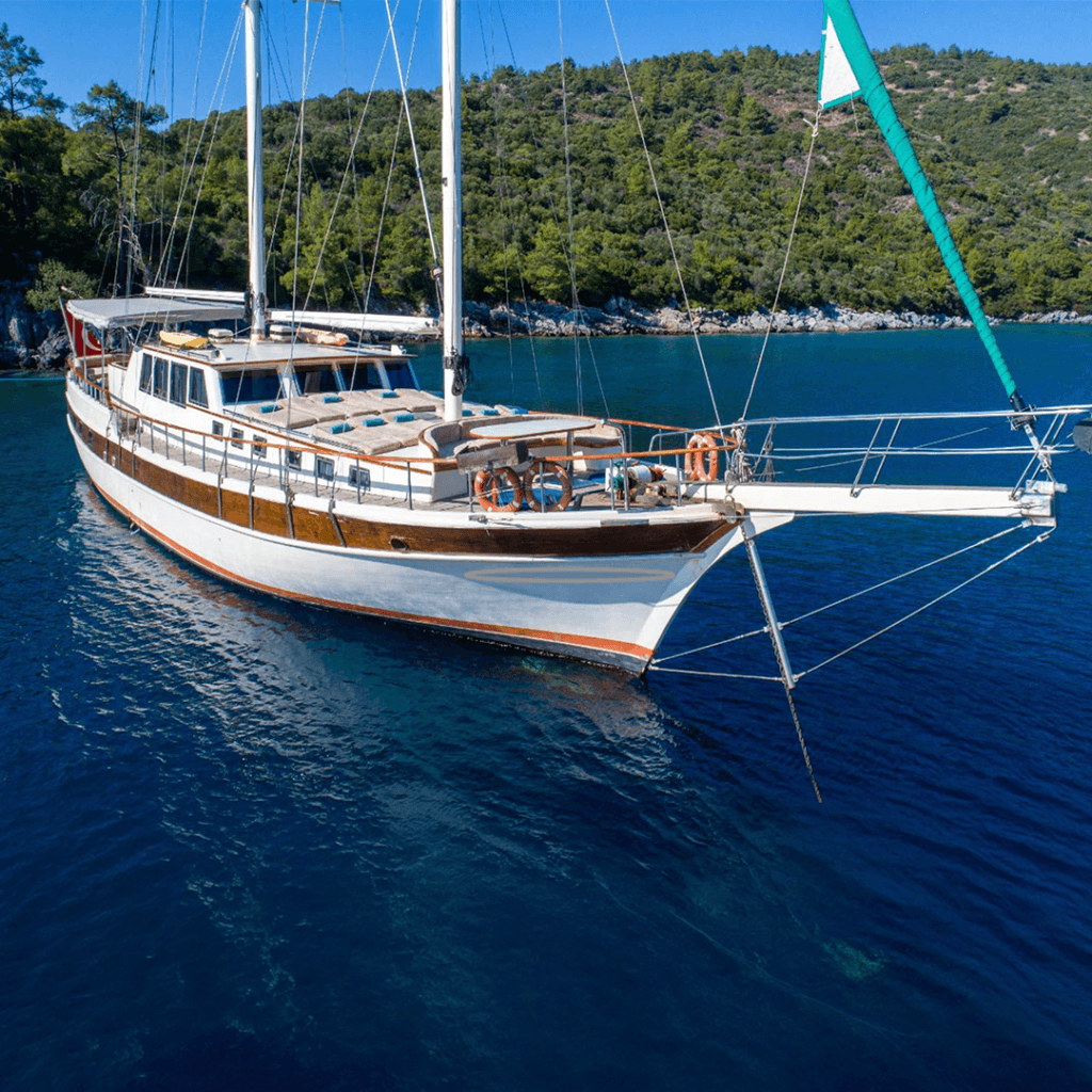 sanda_life_öne_çıkan