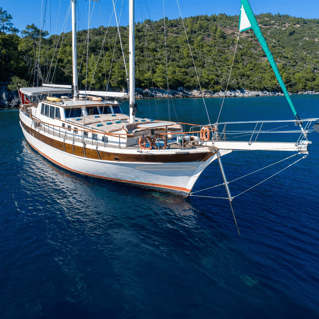 sanda_life_öne_çıkan